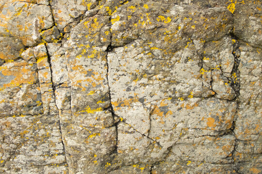 Closeup of rock surface with cracks and lichen