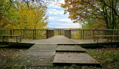 Wooden viewing platform with ramp and steps in colorful autumn forest. Concept of accessibility, inclusive design and sustainable tourism in nature.