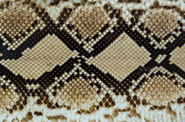 Snake Leather Texture; snake skin pattern