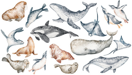 Arctic animals and fish watercolor set. Wildlife species from the north pole. Hand drawn zoology elements for design and collection.