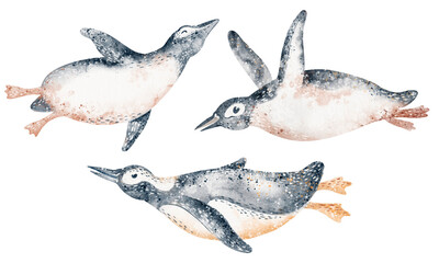 Penguin group swimming and floating. Watercolor illustration for cards and posters. Antarctic birds for education and design. Wildlife and aquatic nature.