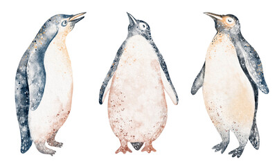 Group of penguins in watercolor. Illustration for card and poster. Bird figure isolated for education and children. Antarctic animal image.