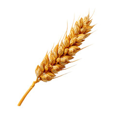 Golden wheat ear isolated on transparent background, a symbol of harvest and grain