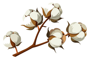 Cotton branch illustration