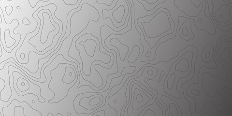 Abstract topographic map lines background. Vector seamless background, subtle pattern. topographic map background concept.