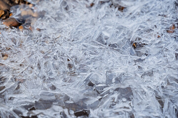 dew and ice adorn decaying plant life, morning frost envelops withered leaves with shimmering ice crystals, frozen dew and ice formations decorate withered plants across cold morning terrain