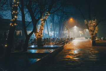 Night scene of the city promenade in autumn
