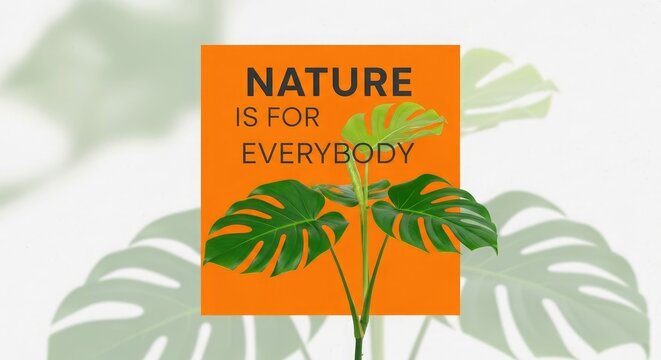 Nature is for everybody text with monstera plant isolated on white background