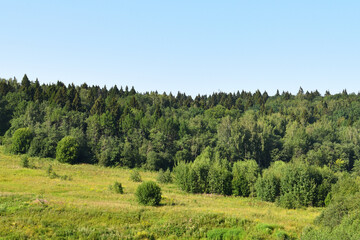 Opalikha forest park in Krasnogorsk district of Moscow region, Russia