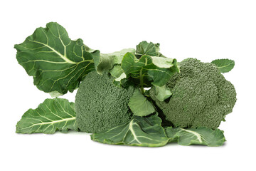 Fresh broccoli and green leaves arranged together on a white background
