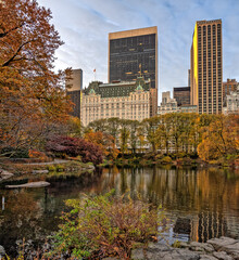Autumn in Central Park