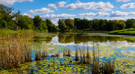 Landschaft und Natur im Gartnereich Dessau-W&ouml;rlitz, W&ouml;rlitzer Park, UNESCO Weltkulturerbe, Dessau, Sachsen Anhalt, Deutschland