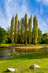 Landschaft und Natur im Gartnereich Dessau-W&ouml;rlitz, W&ouml;rlitzer Park, UNESCO Weltkulturerbe, Dessau, Sachsen Anhalt, Deutschland