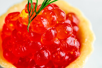 Closeup of vibrant red salmon caviar (roe) in a small, round pastry tartlet, garnished with green dill. Macro shot of luxury seafood appetizer on a white background.