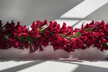 Striking display of bright red bell shaped flowers lying on white table