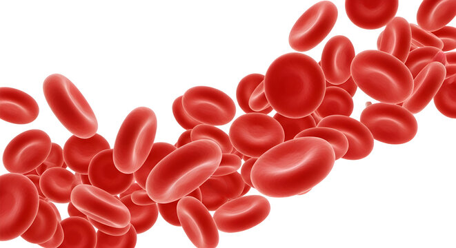 Close up of red blood cells flowing in dark background erythrocytes circulation
