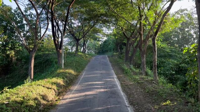 Scenic Hill Tract Road in Bandarban, Bangladesh &mdash; Serene Mountain Landscape and Rural Nature