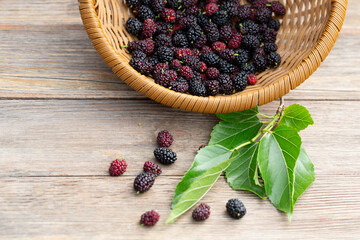Delicious and healthy black mulberry (Morus nigra) fruits in a wicker basket.