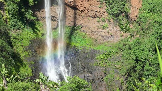 Majestic Chamarel Waterfall in Lush Tropical Rainforest with Vibrant Rainbow, Serene Nature Landscape, and Cascading Waters Over Rocky Cliffs.
