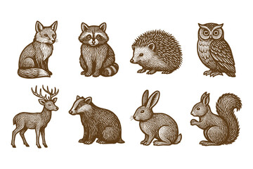 Fototapeta premium Detailed woodland creatures in vintage hand drawn style