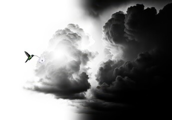 Fototapeta premium Hummingbird flying towards the light in a stormy sky, hope and inspiration