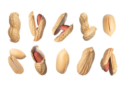 Set of whole and crushed dried peanuts close-up on a transparent background - Powered by Adobe