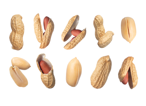 Set of whole and crushed dried peanuts close-up on a transparent background