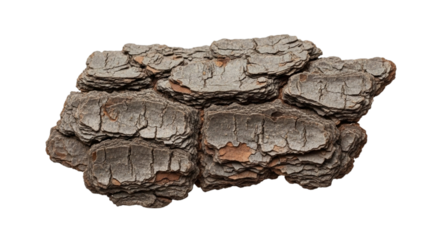 Natural Bark Surface: A striking macro view showcasing intricate textures and earthy details of aged tree bark on a Transparent PNG Background