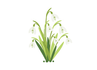 Fototapeta premium A stunning horizontal floral backdrop featuring lily of the valley blossoms at the lower edge against a white background, rendered in elegant, realistic hand‑drawn botanical illustration