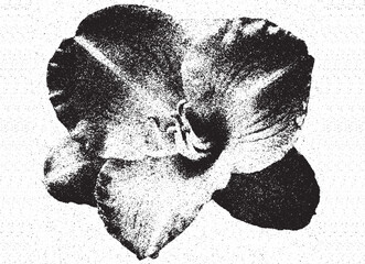 flower halftone dotted effect logo icon vector illustration eps