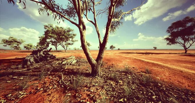 Vast red earth spreads endlessly, dotted with resilient trees and sparse vegetation. A lone tree stands tall, embodying strength against the arid backdrop, highlighted by bright blue skies.