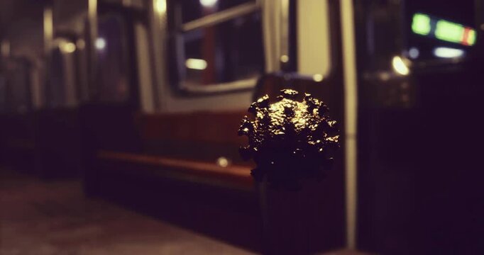 A dark, menacing virus hovers ominously in an empty subway car, illuminating the eerie atmosphere. The sleek design highlights the isolation and stillness of the surrounding environment.