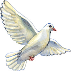 Graceful watercolor dove in flight, symbol of peace, hope, purity, and faith. Perfect for religious designs, invitations, Easter themes, memorial cards, spirituality projects, and branding.