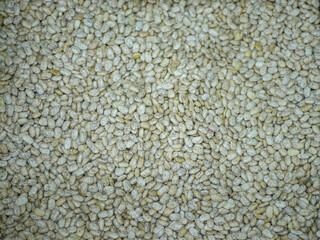 Pinto beans, close up. Textured background.