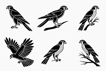 Obraz premium Set of 8 minimalist icons in black and yellow for modern design