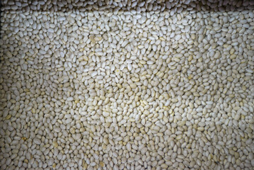 White beans, close up. Background, texture.
