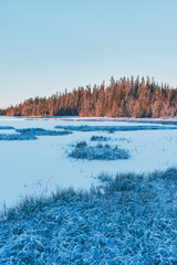 Store Vindflotjernet Lake of the Vindflomyrene Nature Reserve at the Totenåsen Hills, Norway, November 2025.