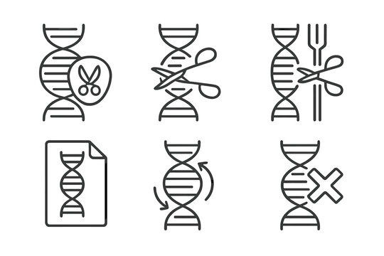 Gene Editing Icons. Line style icons of gene editing tools: CRISPR-Cas9 complex, TALEN icon, zinc finger nuclease, guide RNA file,