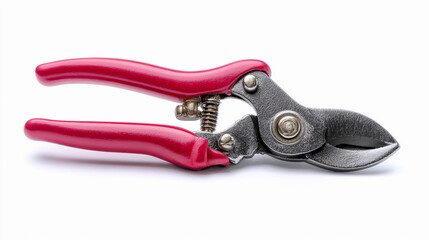 Obraz premium Garden tools for pruning plants and trimming branches