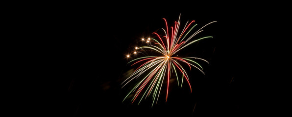 Fireworks explosions against black night sky