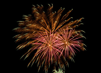 Fireworks explosions against black night sky