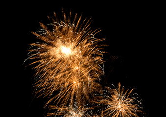Fireworks explosions against black night sky