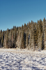 Landscape from and around the Vindflomyrene Nature Reserve at the Totenåsen Hills, Norway, November 2025.