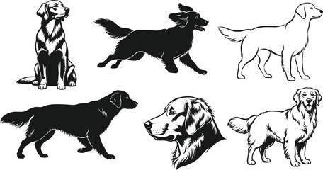 Golden Retriever, dog, pet, animal, breed, black, white, sketch, outline, posture, sitting, standing, running, walking, head, profile, expression, illustration, design, template