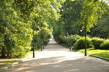 alley in the park