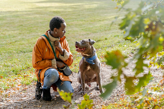 Black woman sitting with her large dog in autumn park, direct eye contact and calm bonding moment on forest trail
