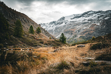 Grandiose Alpine valley with an icy lake, golden grasses, and deep green pine trees, leading to a snow-capped mountain peak under a moody, dramatic sky.