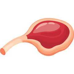 Raw Lamb Chop With Bone On White Background Isolated Studio Shot