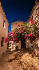 White village of Castillo de Castellar de la Frontera at night, Spain