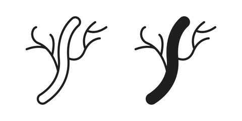 Human artery icon illustration, thin line vector, web design sign,